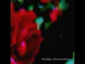 Download Lagu The Grapes - Where Are We Now?