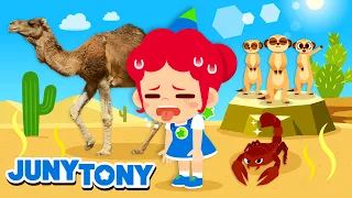 Animais do Deserto | Camelo, Escorpião, Raposa e Mais | Música Infantil | JunyTony em Português