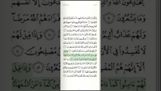 سورة البقرة صفحة 2 3 الشيخ أيمن سويد 