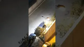 حاجة اخر مسخره فى شوارع مدينة نصر دندنها