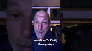 Good morning. #fyp #dream #vlog #doberman #pets