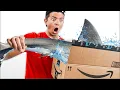 Amazon Items That Should NOT Be Sold