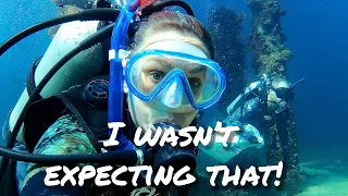 our FIRST night dive OH WOW – Sailing life – Ep 150
