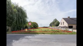                     دندنها