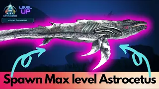 Tamed Astrocetus Spawn Command Ark Survival Ascended