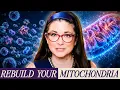 How to Rebuild Your Mitochondria for More Energy as You Age Dr Vonda Wright Time Bomb
