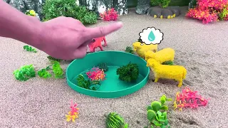 Thirsty animals short clip