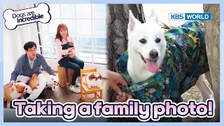 Download You've got the worst personality here, Seri.🤣[Dogs are incredible : EP.179-3] | KBS WORLD TV 230725 MP3