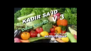 Kadir Seid Old Oromo Music 
