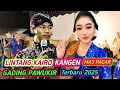 Download Lagu PODANG KUNING LINTANG KAIRO KANGEN GADING PAWUKIR TERBARU 2025