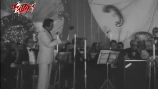 شاهد ابداع عازف الرق حسن انور ضمن اغنية قارئة الفنجان 