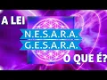 N E S A R E S A R A - O QUE E