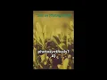 Photosynthesis Quiz knowledgestation8142
