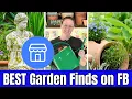🌿 Find the BEST Garden Supplies on Facebook Marketplace | Budget Gardening Tips 🌸
