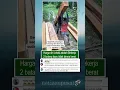 Download Lagu Bekerja adalah Harga Diri Lelaki #pria #kerja #viral #feed #fyp