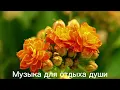 Download Lagu ,,ВМЕСТЕ НАВСЕГДА,, Музыка Сергей Грищук ,,TOGETHER FOREVER ,, muzică de Sergei Grischuk #музыка