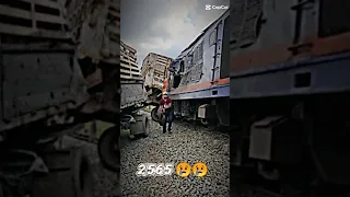                                           دندنها