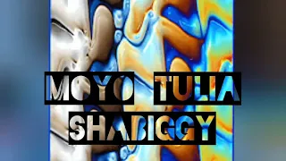 shabiggy moyo tulia official music audio 