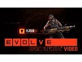 Evolve Hank Basic Tutorial