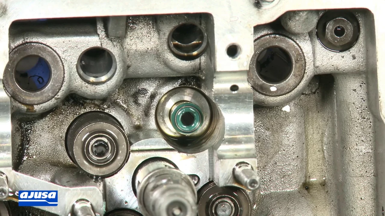 Valve stem seal / Reténes de válvula AUDI A6 2.5 TDI V6 24V AYM .