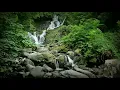 Relaxing Zen Music with Water Sounds • Peaceful Ambience for Spa, Yoga and Relaxation
