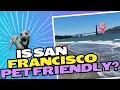 Is San Francisco Pet Friendly