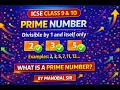 Prime Number Program in Java ICSE Class 9 10