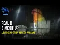 Download Lagu Lovebird Betina DURASI PANJANG || REAL 3 MENIT UP !!!