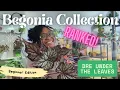 Download Lagu Ranking My Entire Begonia Collection 🌱 | 11 Stunning Varieties!
