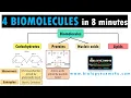 4 Biological Molecules Structure and Their Function A quick guide to Understanding biomolecules