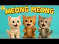 Lagu Anak Anak - ANAK KUCING MEONG MEONG - Lagu Anak \u0026 Balita Viral Terbaru