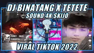 Download DJ BINATANG SEMUA X TETETE SOUND 4K SKIJO VIRAL TIKTOK 2022 YANG KALIAN CARII MP3