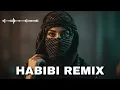 Habibi Remix 2025 🔥 Best Arabic Chill House \u0026 Deep Oriental Vibes