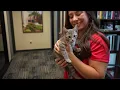 2024 State of the City Caring for Pets initiative McAllen City Commissioner Tony Aguirre District 1