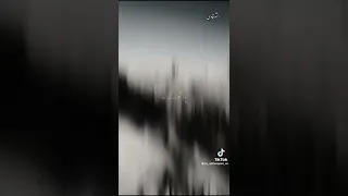 ويجز بعوده يا بلادي دلوقتي اقول اخ ومقولش اغراب حالات واتس اب Wegz Remix Shorts 