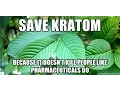 Kratom For Beginners The Best Kratom Vendor For You