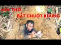 Download Lagu HỒI HỘP PHA CHUI VÀO HANG ĐẤT BẮT CHUỘT KHỦNG-TỰ THỢ RỪNG 