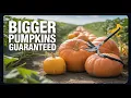Is pruning important to pumpkins