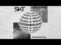 DJ S K T, Jem Cooke - Boomerang (Round & Round)(Orchestral)