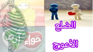 معنى خلق المرأة من ضلع أعوج دندنها