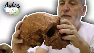 Saga da Humanidade -- Aula 9 (Homo heidelbergensis)