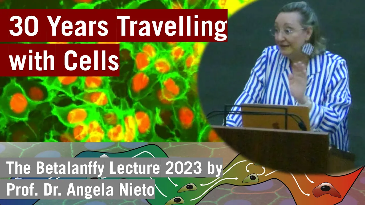 30 Years travelling with cells - Angela Nieto | Bertalanffy Lecture