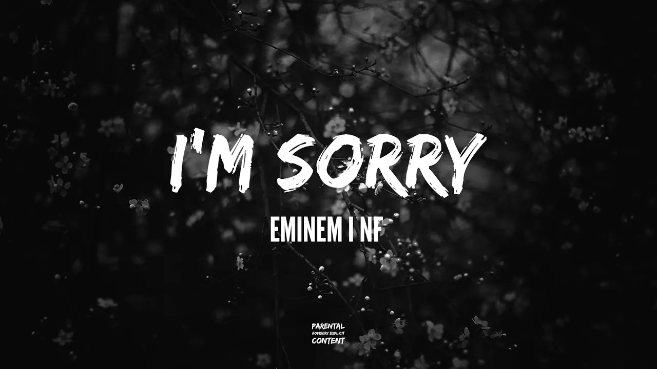 Eminem feat  NF   I´m Sorry   HUD$ON