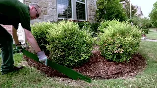 Colmet Installation How-To Guide