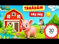 Lagu LaLaPlanet - Tâgâdâm pâș - pâș 🐷 30 MINUTE ⏰ | Pe drum mergea un purceluș 🚜🌾👨‍🌾