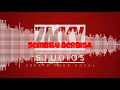 Download Lagu Sembilu Berbisa | Iwan Salman Remix By Zacky Khaidir