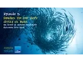 Download Lagu Sipadan: The Best Day's Diving on Earth | Borneo from Below (S01E03)