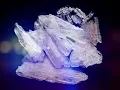 Five Arrested in Crow Wing County Drug Bust