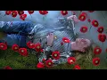 Nirvana - Heart-Shaped Box (all released HD footages)