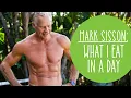 Mark Sisson What I Eat In A Day